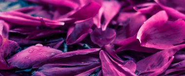 Soyut çiçek arka plan, suda Mor çiçek yaprakları