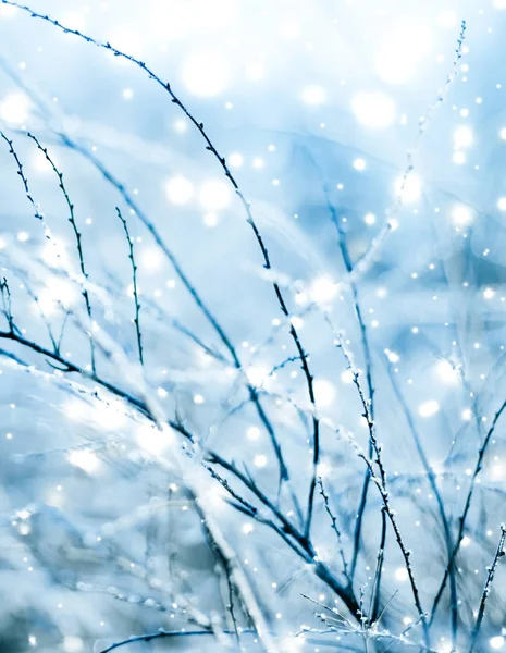 Kış tatili arka plan, parlak kar ve Co ile doğa manzarası