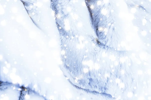Holiday winter background, luxury fur coat texture detail and gl