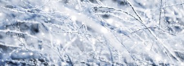 Kış tatili arka plan, parlak kar ve Co ile doğa manzarası