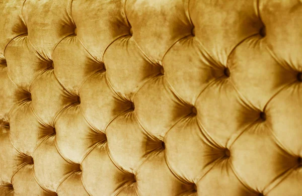 Luxo dourado veludo acolchoado sofá estofos com botões, elega — Fotografia de Stock