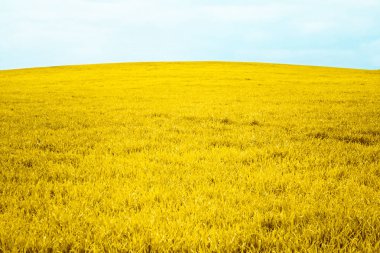 Sonbahar kırsal alan ve bulutlu mavi gökyüzü, Doğa arka plan