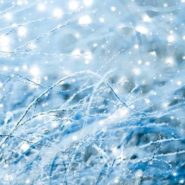 Kış tatili arka plan, parlak kar ve Co ile doğa manzarası