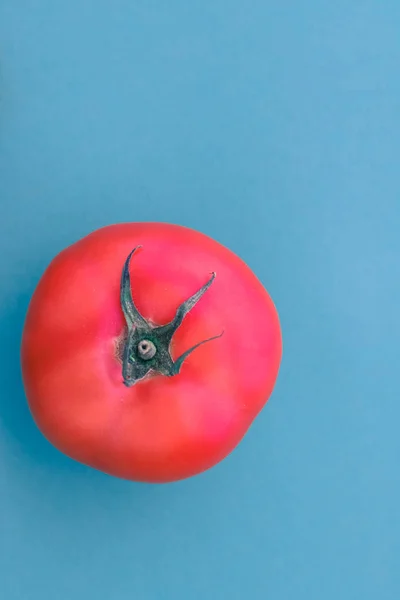 Čerstvá zralá červená rajčata na modrém pozadí, organická zelenina FO — Stock fotografie