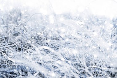 Kış tatili arka plan, parlak kar ve Co ile doğa manzarası