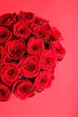 Kırmızı gül gourgeous lüks buket, flora olarak çiçek çiçek