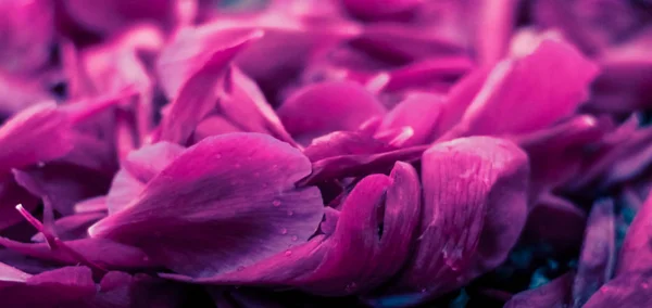 Absztrakt virágos háttér, lila virágszirmok vízben — Stock Fotó