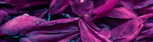 Fondo floral abstracto, pétalos de flores moradas en agua — Foto de Stock