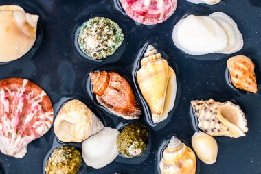 Deniz kabuğu arka plan, yaz hedef ve plaj tatil t