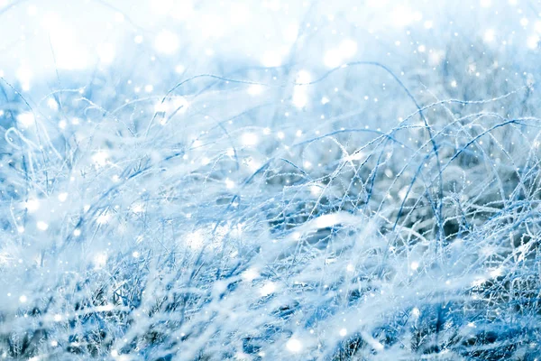 冬休みの背景、光沢のある雪と共同で自然の風景 — ストック写真