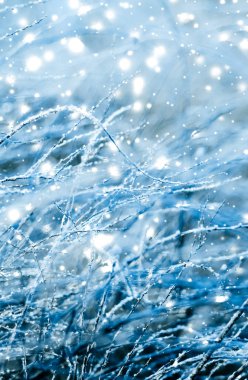 Kış tatili arka plan, parlak kar ve Co ile doğa manzarası