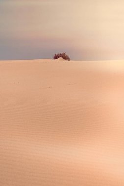 Okyanus manzarası, mükemmel seyahat ve tatil yeri.