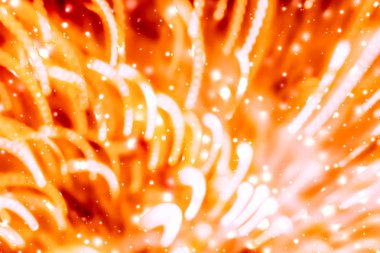 Cadılar Bayramı soyut tatil arka plan