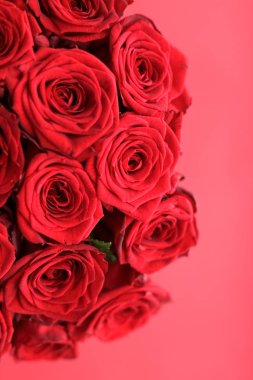 Kırmızı gül gourgeous lüks buket, flora olarak çiçek çiçek