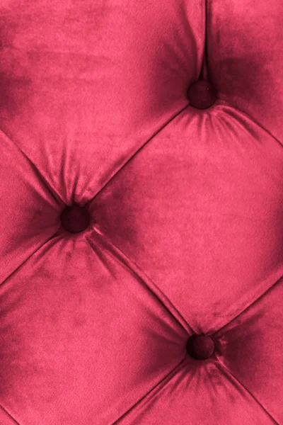 Roze luxe velours gewatteerde sofa bekleding met knoppen, elegante — Stockfoto