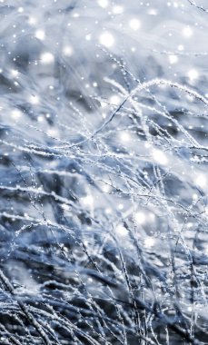 Kış tatili arka plan, parlak kar ve Co ile doğa manzarası