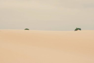 Okyanus manzarası, mükemmel seyahat ve tatil yeri.