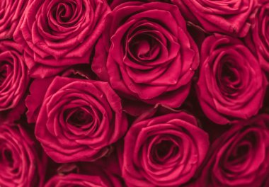 Pembe gül romantik lüks buket, flora olarak çiçek çiçek