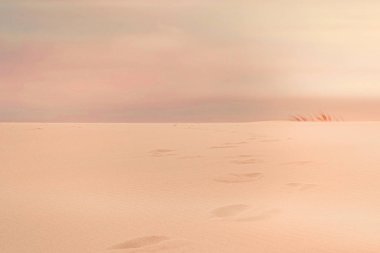 Okyanus manzarası, mükemmel seyahat ve tatil yeri.