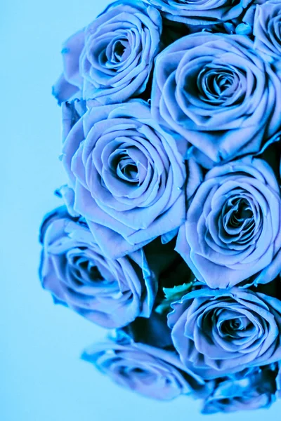 Bouquet di lusso glamour di rose blu, fiori in fiore come fiori — Foto Stock