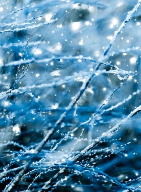 Kış tatili arka plan, parlak kar ve Co ile doğa manzarası