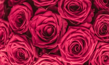 Pembe gül romantik lüks buket, flora olarak çiçek çiçek