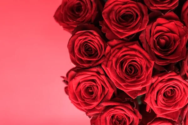 Gourmet-Luxus-Bouquet von roten Rosen, Blumen in voller Blüte als Flora — Stockfoto