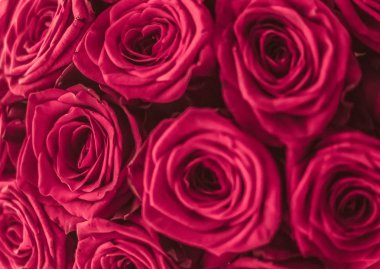 Pembe gül romantik lüks buket, flora olarak çiçek çiçek