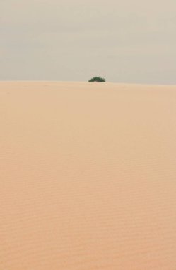 Okyanus manzarası, mükemmel seyahat ve tatil yeri.