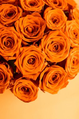 Turuncu gül Retro lüks buket, çiçek gibi çiçek çiçek