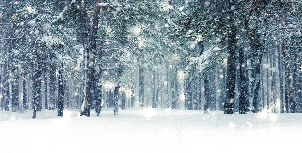 Fundo de férias de inverno, paisagem natural com neve brilhante e co — Fotografia de Stock