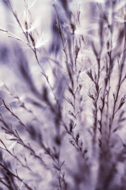 Vintage rustik çim ve alan, soyut doğa arka plan