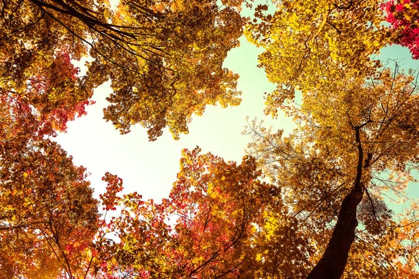 Schöne Herbstlandschaft Hintergrund, Vintage-Natur-Szene in f — Stockfoto