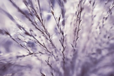 Vintage rustik çim ve alan, soyut doğa arka plan