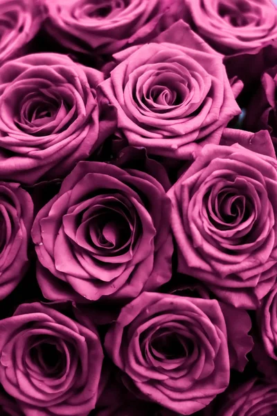 Ramo de lujo de rosas púrpuras, flores en flor como hueco floral — Foto de Stock