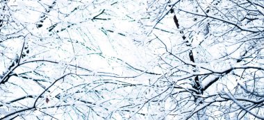 Kış tatili arka plan, parlak kar ve Co ile doğa manzarası