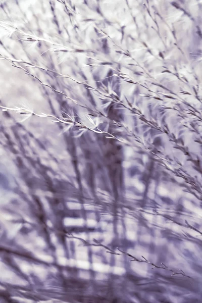 ヴィンテージ素朴な草やフィールド、抽象的な自然の背景 — ストック写真