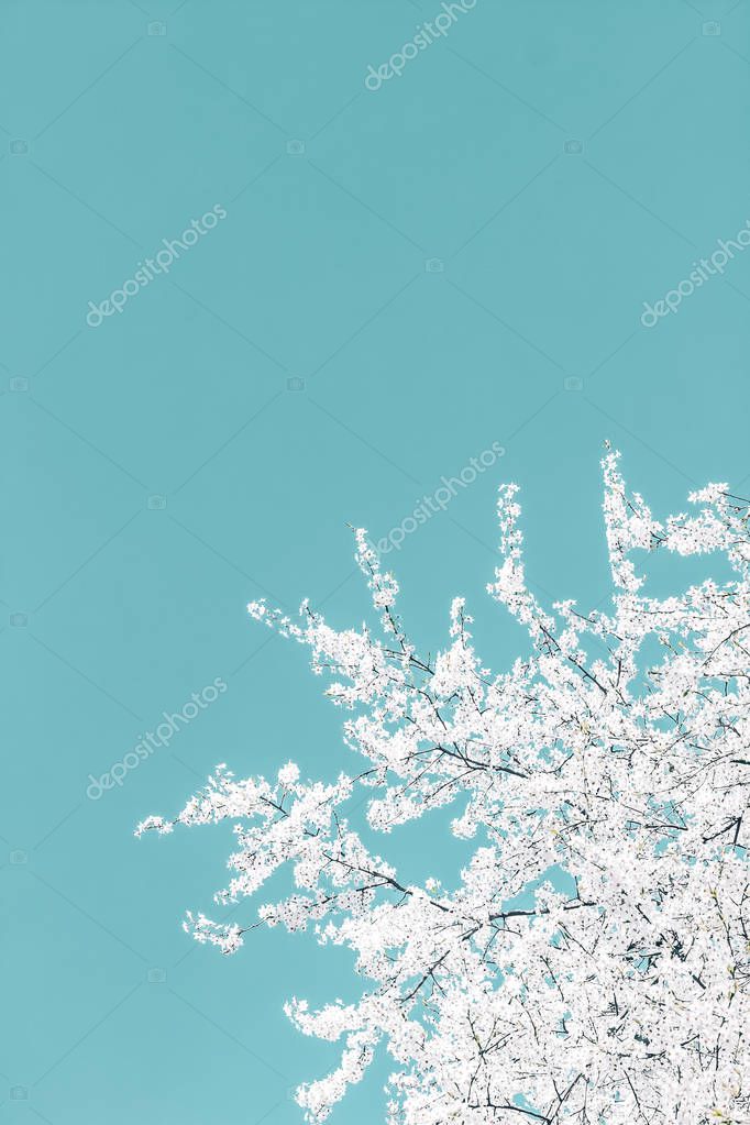 Floral abstract art on turquoise background, vintage cherry flow