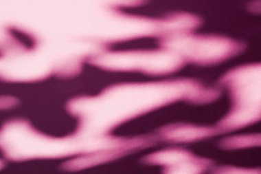 Soyut sanat, pembe arka planda botanik gölgeler