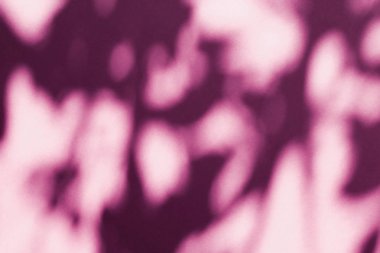 Soyut sanat, pembe arka planda botanik gölgeler