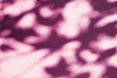 Soyut sanat, pembe arka planda botanik gölgeler