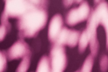 Soyut sanat, pembe arka planda botanik gölgeler