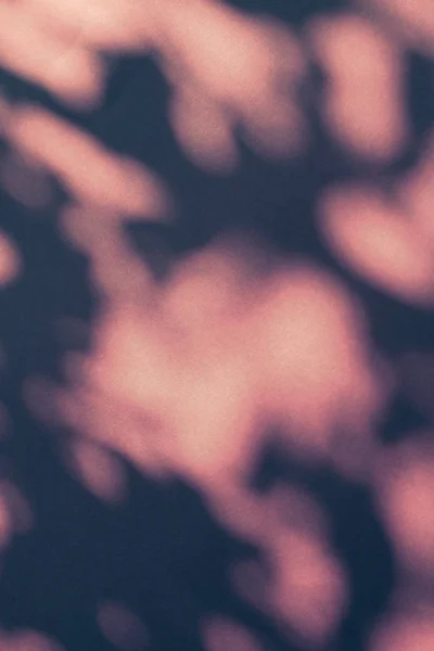 Αφηρημένη τέχνη, βοτανική σκιές επικάλυψη σε ροζ φόντο για h — Φωτογραφία Αρχείου
