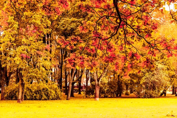 Belo outono paisagem fundo, vintage natureza cena em f — Fotografia de Stock