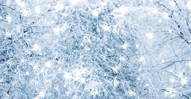 Kış tatili arka plan, parlak kar ve Co ile doğa manzarası