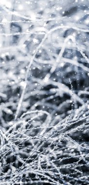 Kış tatili arka plan, parlak kar ve Co ile doğa manzarası