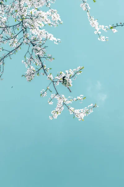 Florale abstrakte Kunst auf türkisfarbenem Hintergrund, vintage cherry flow — Stockfoto