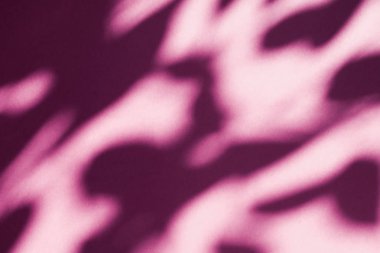 Soyut sanat, pembe arka planda botanik gölgeler