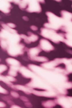 Soyut sanat, pembe arka planda botanik gölgeler