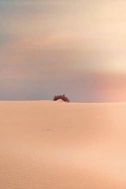 Okyanus manzarası, mükemmel seyahat ve tatil yeri.